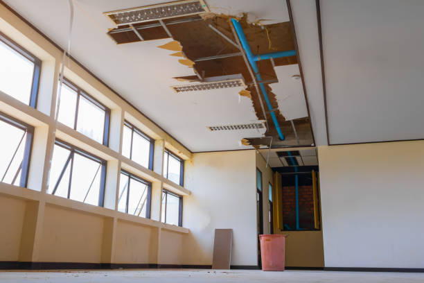 Best Carpet water damage restoration  in Franklin Rk, PA