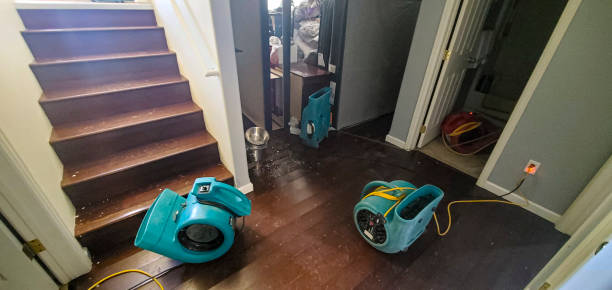 Best Water damage restoration near me  in Franklin Rk, PA