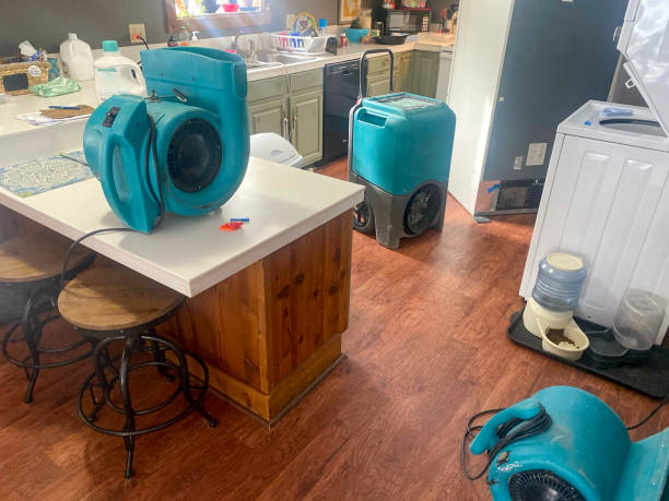 Best 24-hour water damage restoration  in Franklin Rk, PA