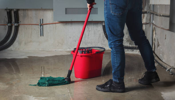 Best Flood restoration services  in Franklin Rk, PA