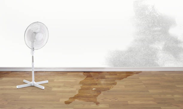 Best Water damage cleanup near me  in Franklin Rk, PA