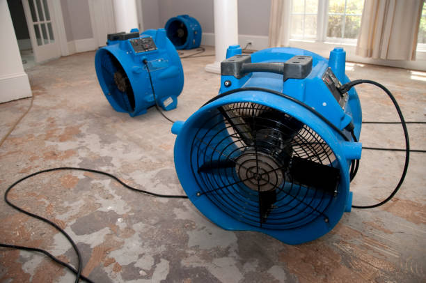 Best Professional water damage repair  in Franklin Rk, PA