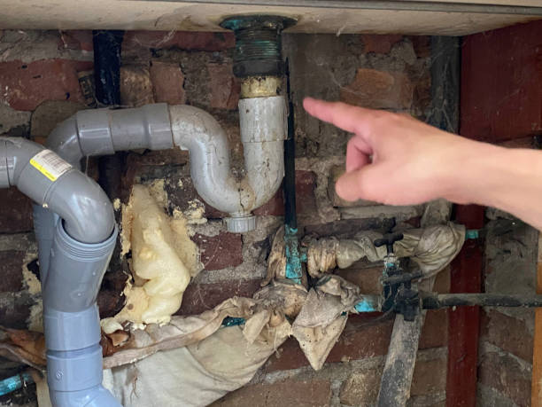 Best Flood damage cleanup  in Franklin Rk, PA
