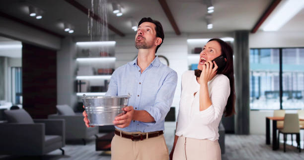 Best Flooded house restoration  in Franklin Rk, PA