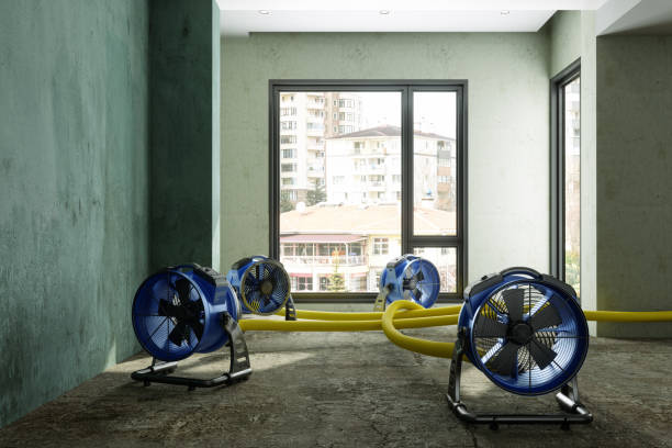 Best Local water damage restoration  in Franklin Rk, PA